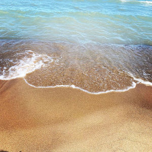 Meet your Posher, Sherry